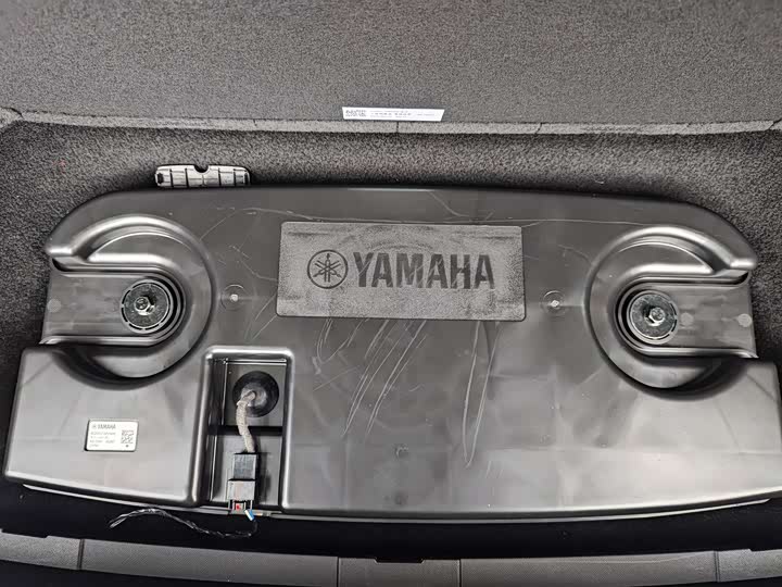 Фото 22 - GAC Trumpchi E9