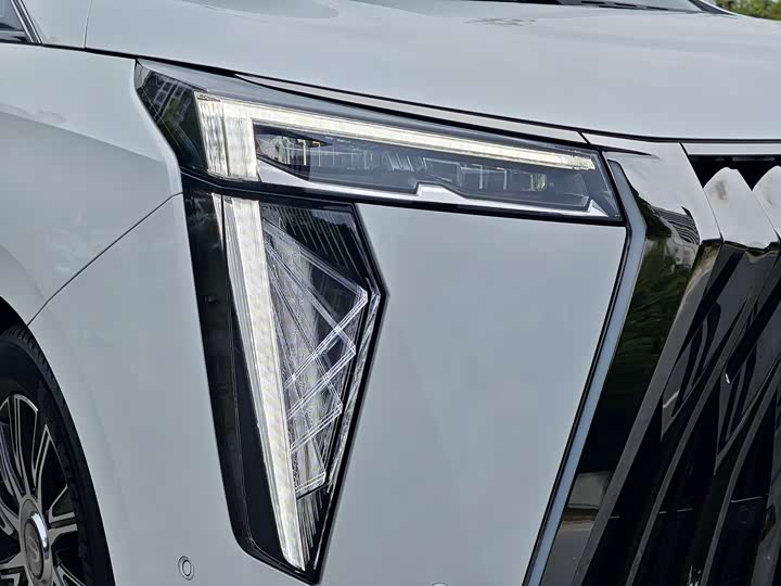 Фото 24 - GAC Trumpchi E9