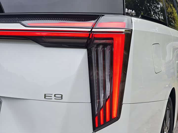 Фото 25 - GAC Trumpchi E9