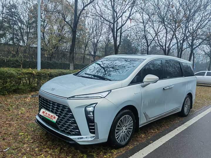 Фото 1 - Buick GL8 Hybrid