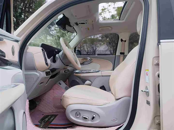 Фото 4 - Ora Ballet Cat