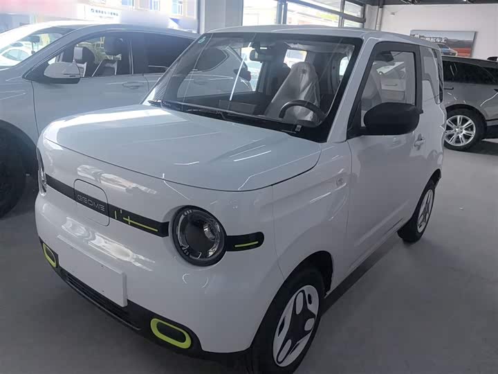 Фото 1 - Geely Galaxy Panda Mini