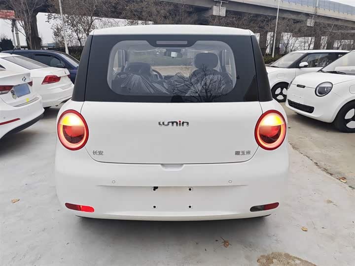 Фото 6 - Changan Qiyuan (Nevo) Lumin