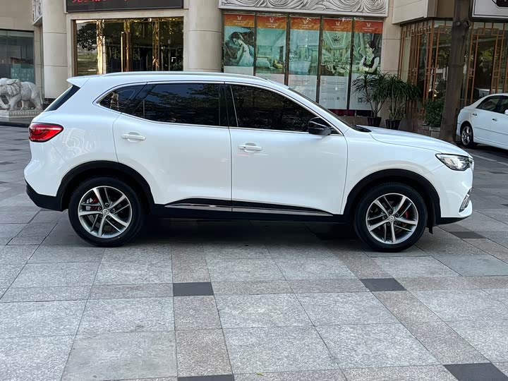 Фото 7 - MG Motor HS