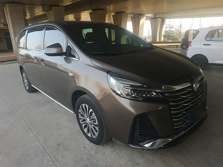 Фото 4 - Buick GL8 ES