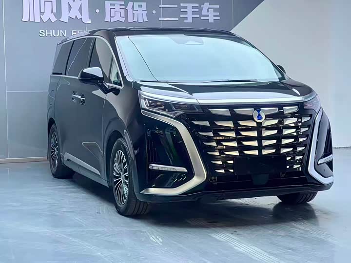 Фото 1 - Denza D9