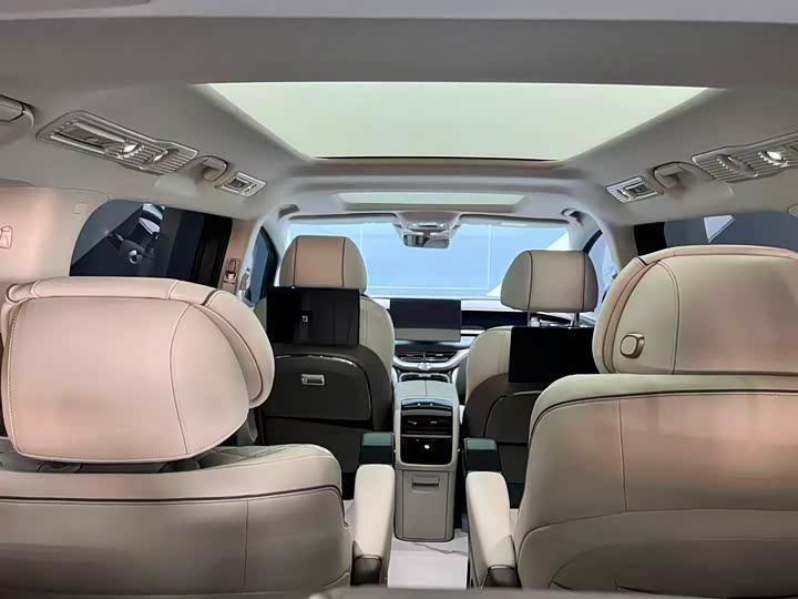 Фото 3 - Denza D9