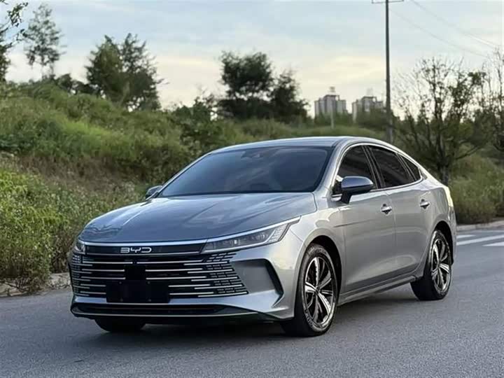 Фото 1 - BYD Destroyer 05