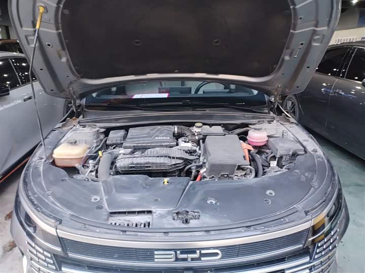 Фото 10 - BYD Destroyer 05