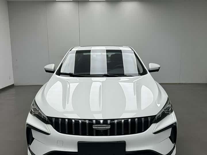 Фото 2 - Geely Binrui
