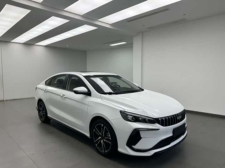 Фото 3 - Geely Binrui