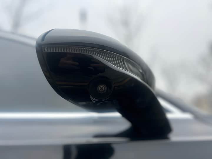 Фото 16 - Hongqi H9