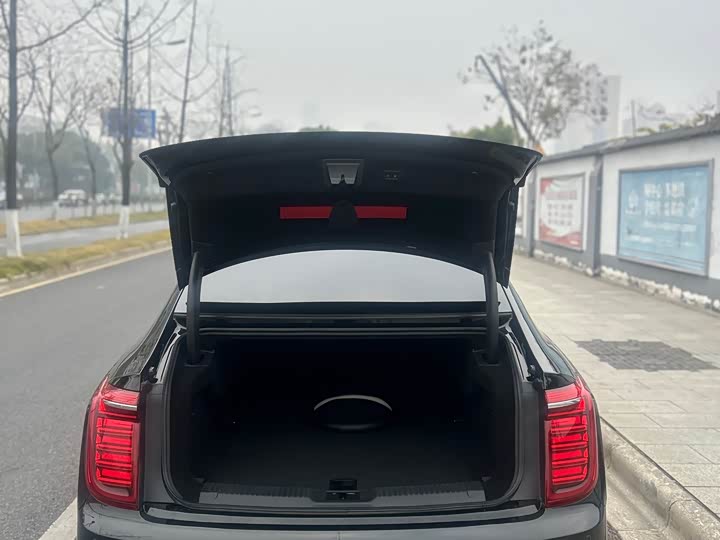 Фото 17 - Hongqi H9