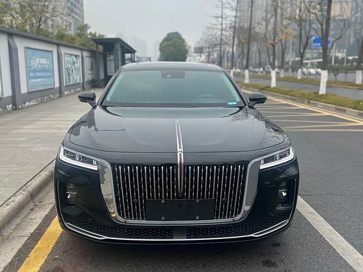 Фото 2 - Hongqi H9