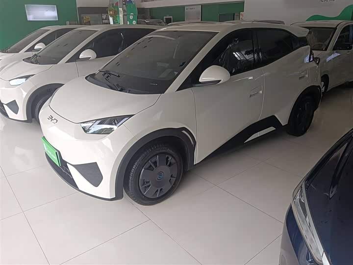 Фото 1 - BYD Seagull