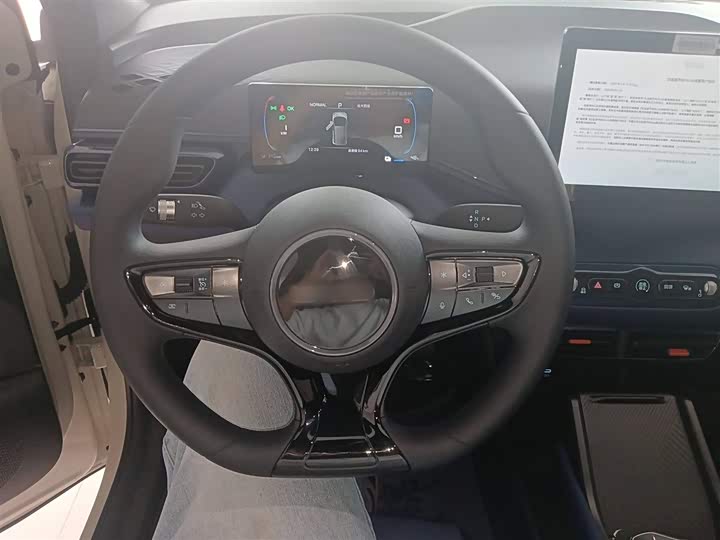 Фото 11 - BYD Seagull