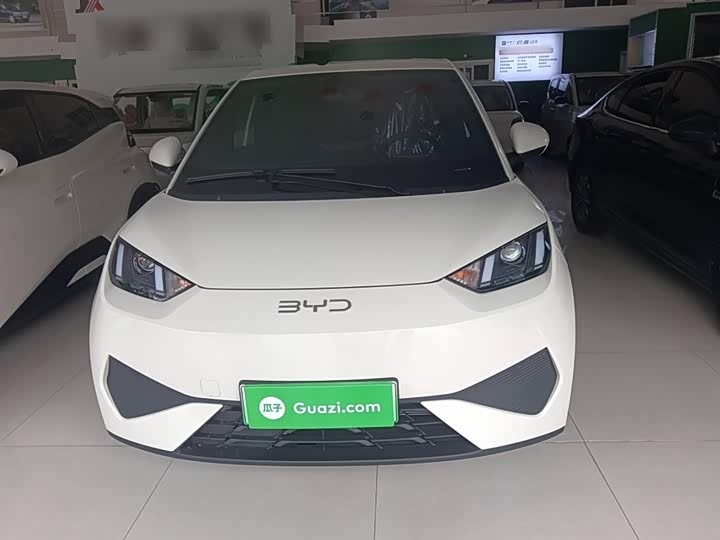 Фото 3 - BYD Seagull