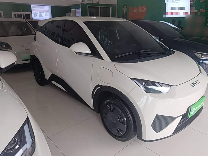 Фото 4 - BYD Seagull