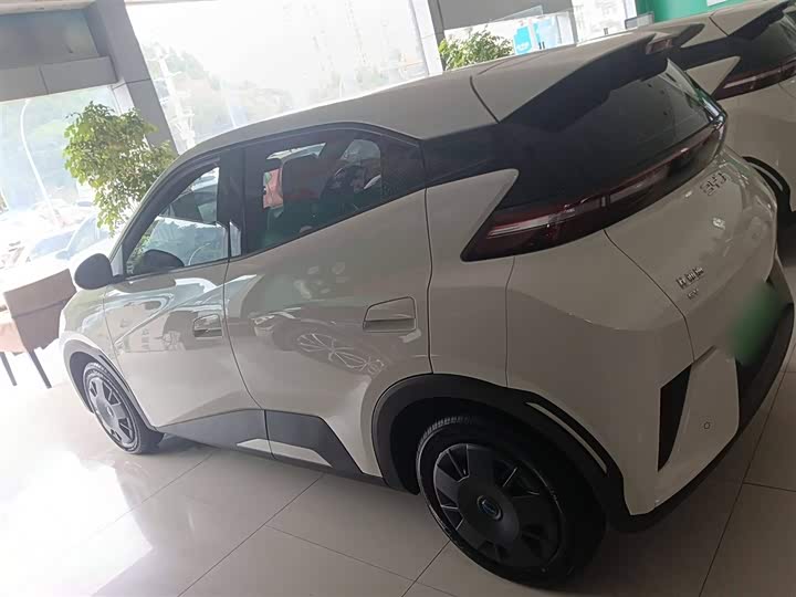 Фото 5 - BYD Seagull