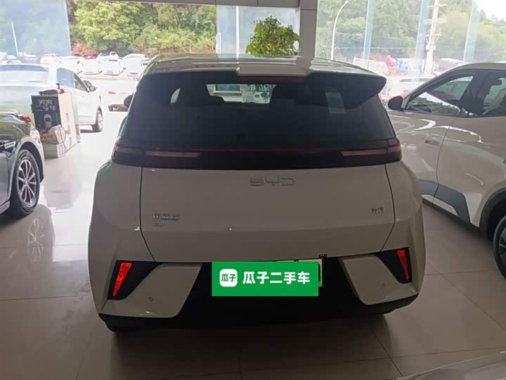 Фото 6 - BYD Seagull