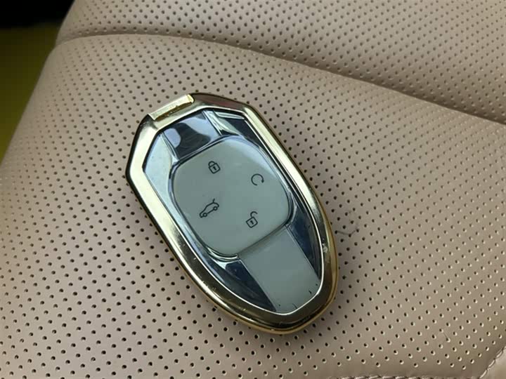 Фото 19 - GAC Trumpchi ES9