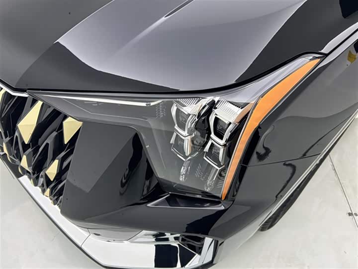 Фото 20 - GAC Trumpchi ES9