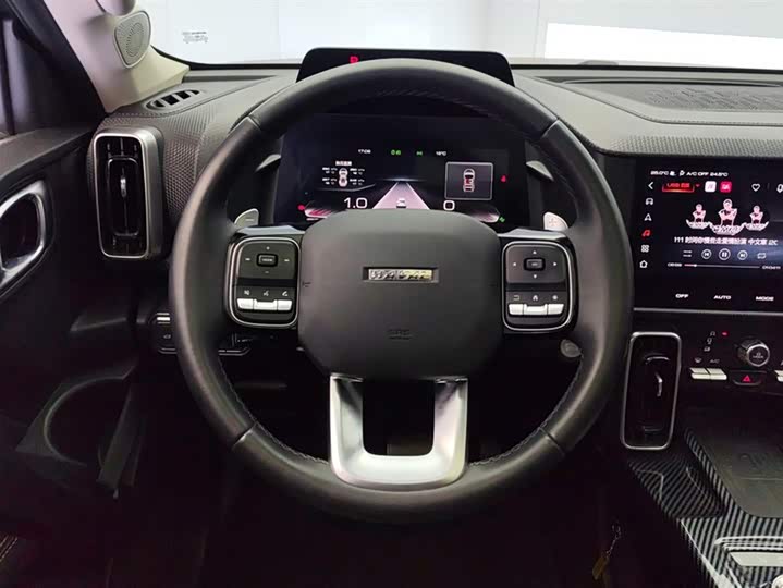 Фото 15 - Haval Dargo