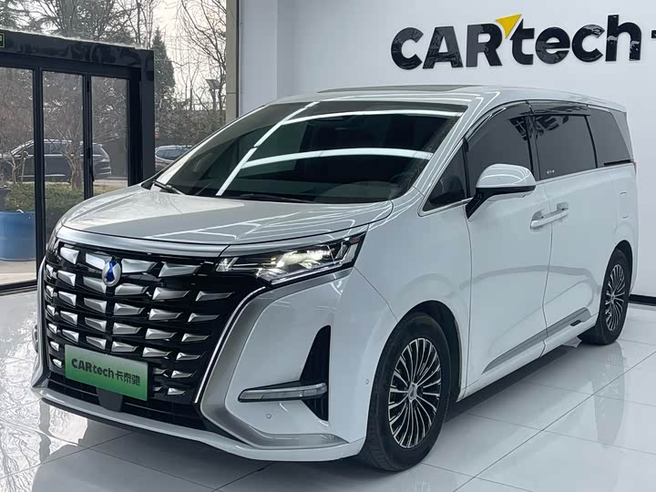 Фото 1 - Denza D9