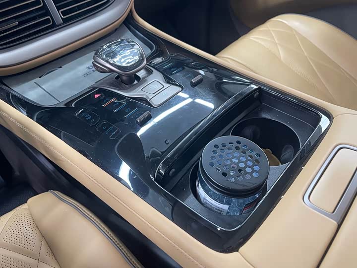 Фото 10 - Denza D9