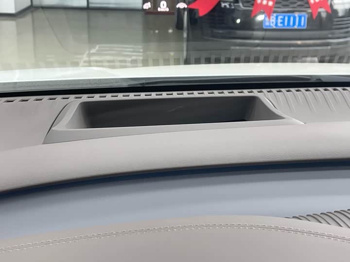 Фото 11 - Denza D9