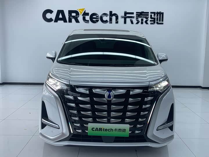 Фото 2 - Denza D9