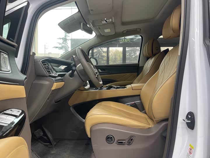 Фото 3 - Denza D9