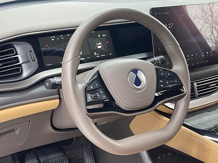 Фото 6 - Denza D9