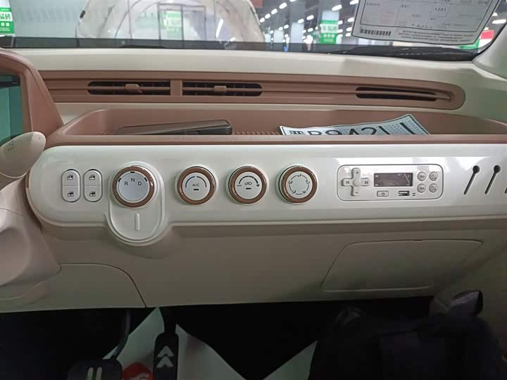 Фото 13 - Bestune Pony