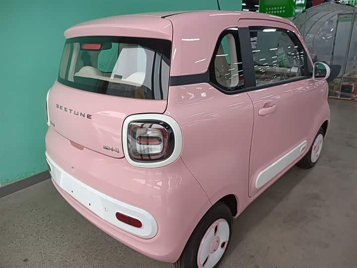 Фото 7 - Bestune Pony