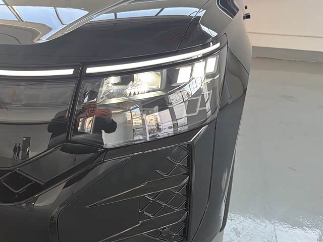 Фото 10 - Volkswagen Teramont Pro