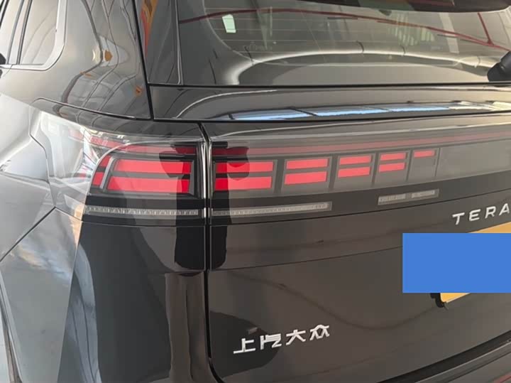 Фото 19 - Volkswagen Teramont Pro