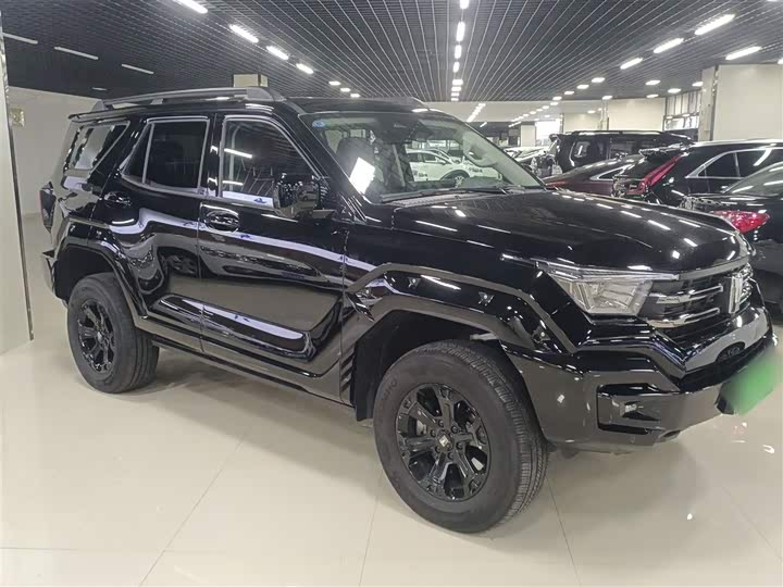 Фото 4 - Tank 400 Hybrid