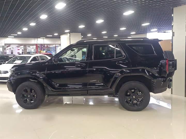 Фото 5 - Tank 400 Hybrid