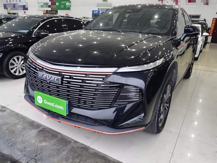 Фото 1 - Haval F7 (Monster)