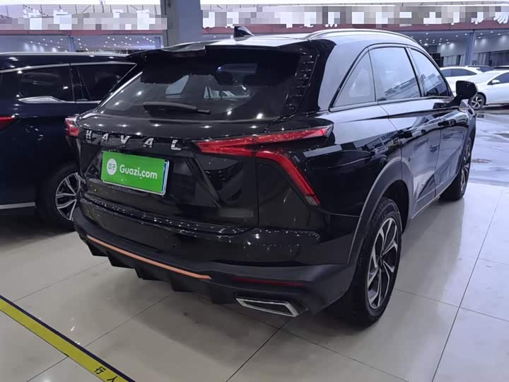 Фото 7 - Haval F7 (Monster)