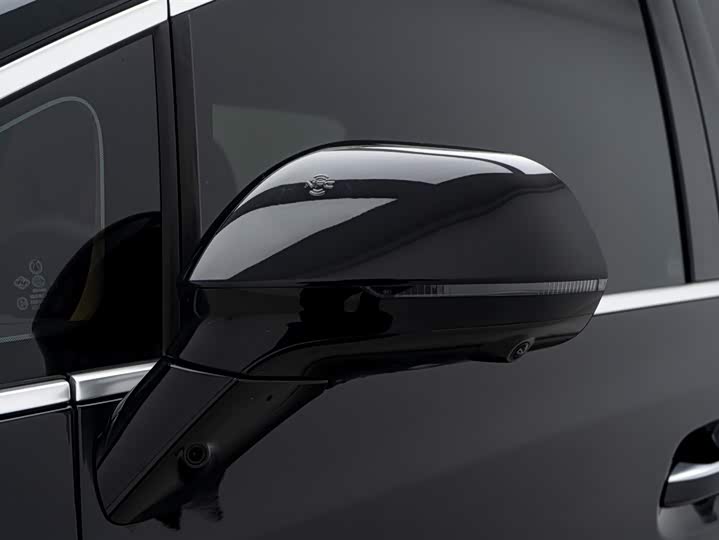 Фото 11 - Denza D9