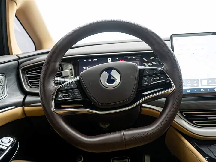 Фото 20 - Denza D9