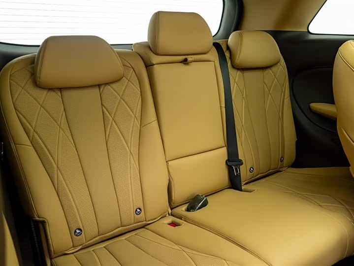 Фото 21 - Denza D9