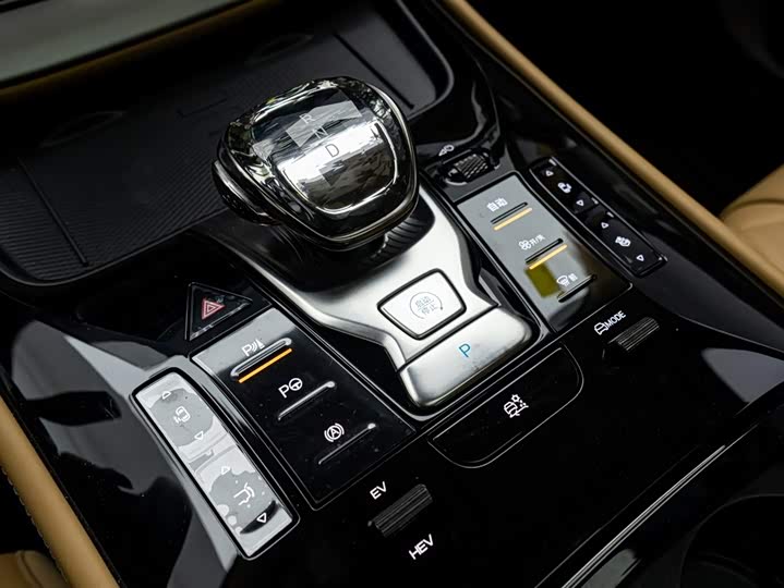 Фото 25 - Denza D9