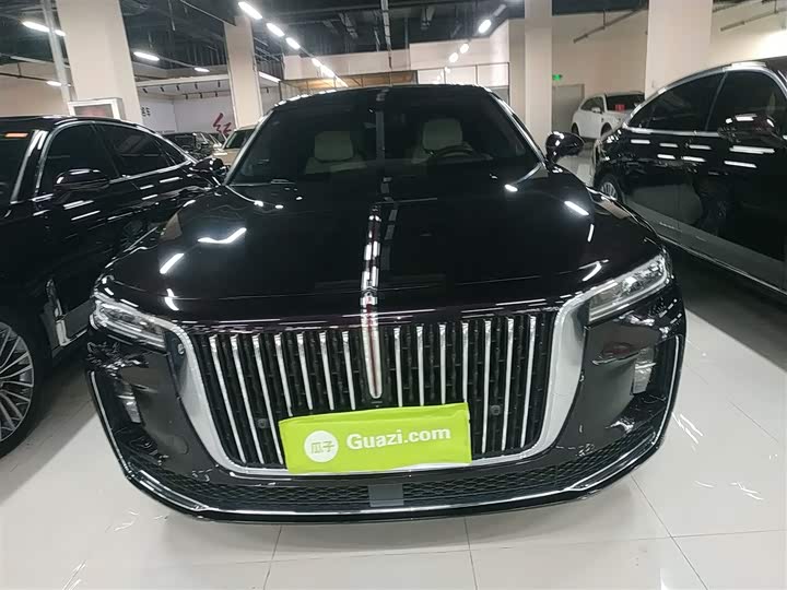 Фото 3 - Hongqi H9