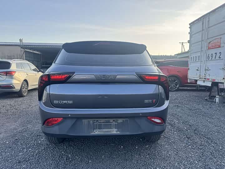 Фото 10 - Hozon V