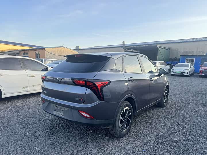 Фото 12 - Hozon V