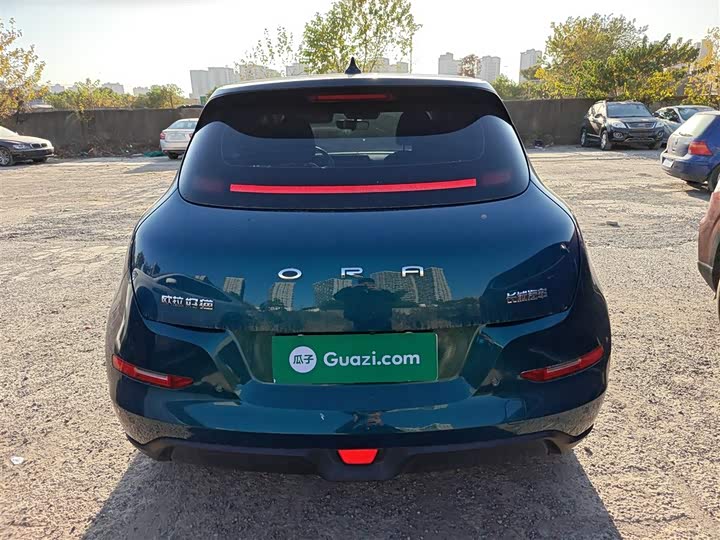 Фото 6 - Ora Good Cat (03)