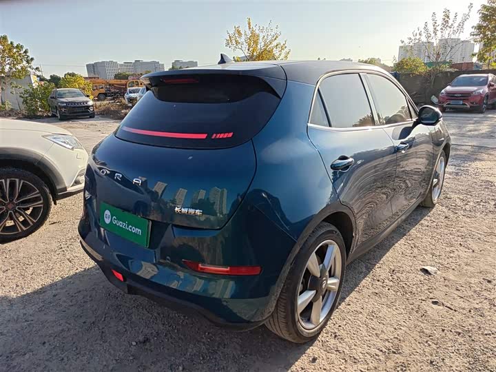 Фото 7 - Ora Good Cat (03)